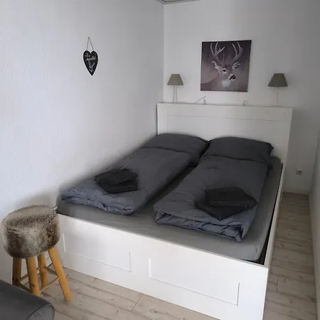 Fewo Jagsch - Harzpur & Harzzeit - Inkl Bettwaesche & Handtuecher Braunlage