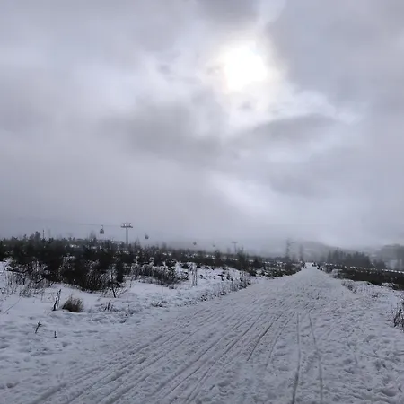 Fewo Jagsch - Harzpur & Harzzeit - Inkl Bettwaesche & Handtuecher شقة *