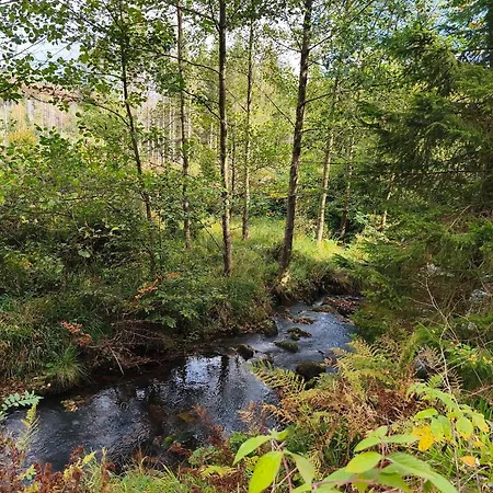 Jagsch - Harzpur & Harzzeit - Inkl Bettwaesche & Handtuecher Braunlage