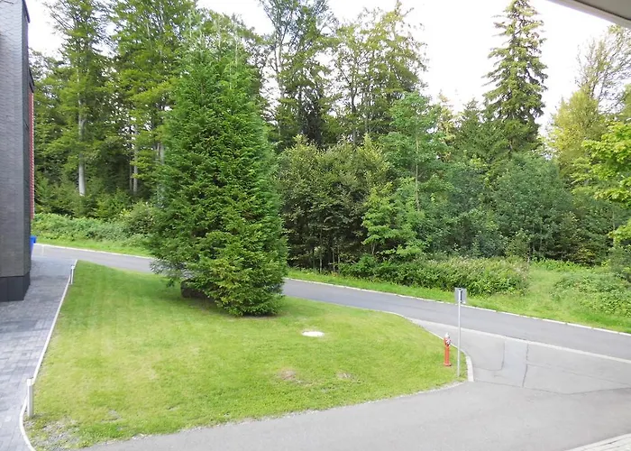 公寓 Fewo Jagsch - Harzpur & Harzzeit - Inkl Bettwaesche & Handtuecher *