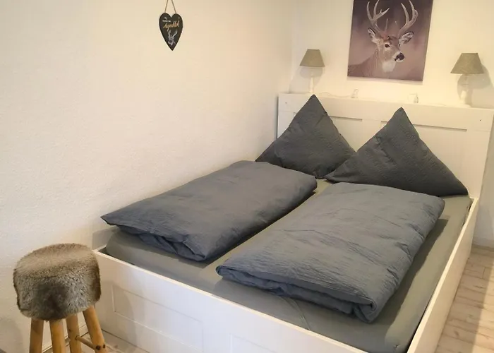 Fewo Jagsch - Harzpur & Harzzeit - Inkl Bettwaesche & Handtuecher Appartement