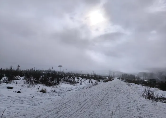 Jagsch - Harzpur & Harzzeit - Inkl Bettwaesche & Handtuecher Apartamento *