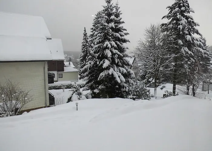 Fewo Jagsch - Harzpur & Harzzeit - Inkl Bettwaesche & Handtuecher